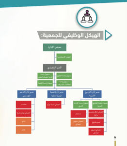 الهيكل التنظيمي